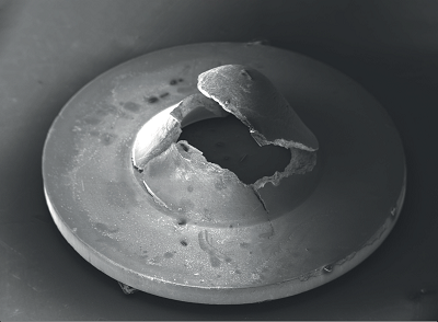 Obraz uzyskany podczas obserwacji przeprowadzonych z wykorzystaniem  skaningowego mikroskopu elektronowego